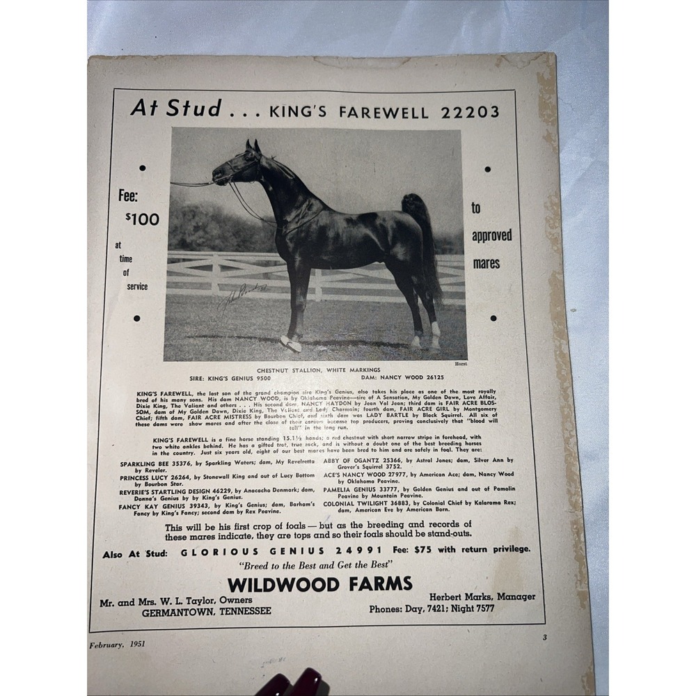 Saddle and Bridle Magazine February 1951 Vol XXIV - Picture 3 of 7
